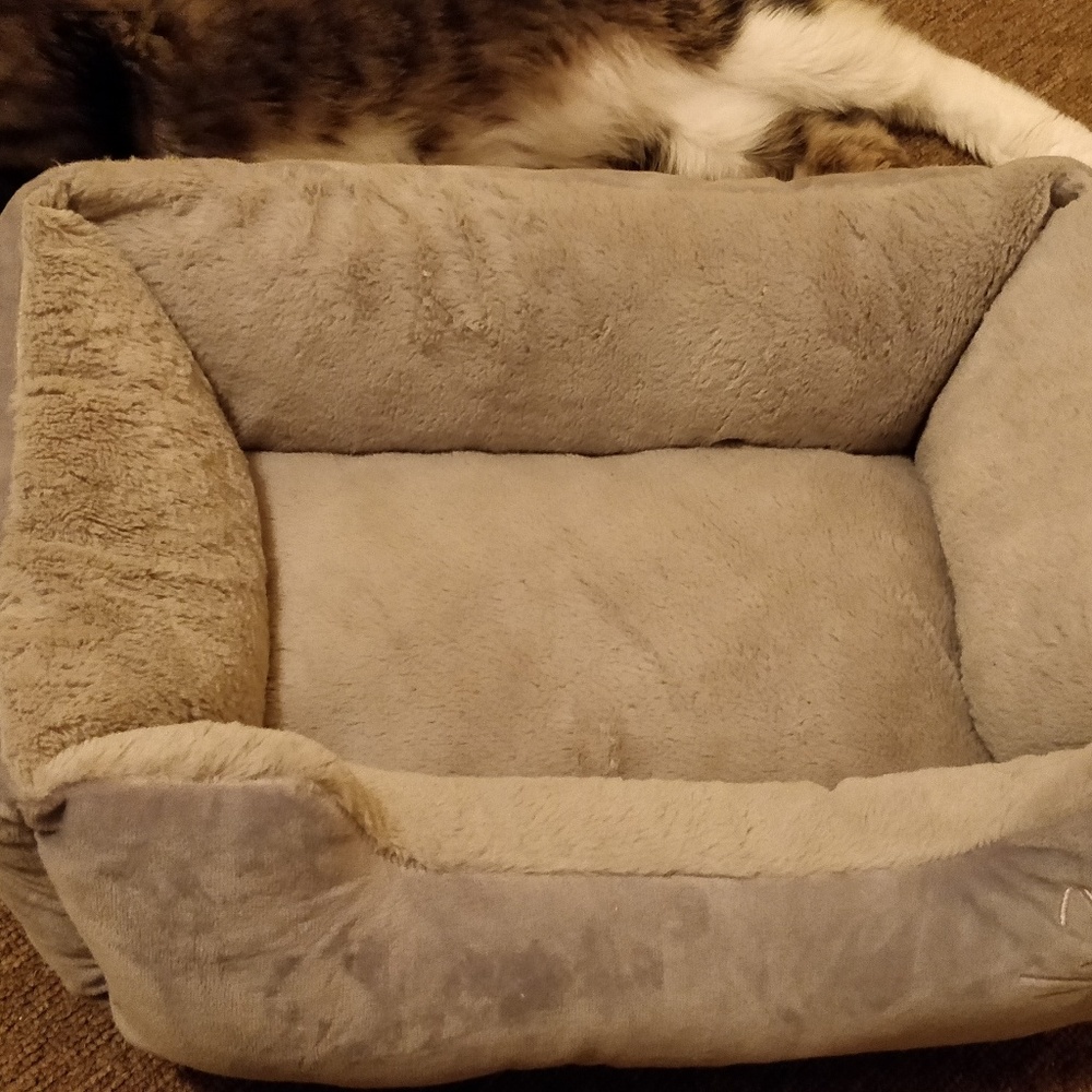 Cat bed